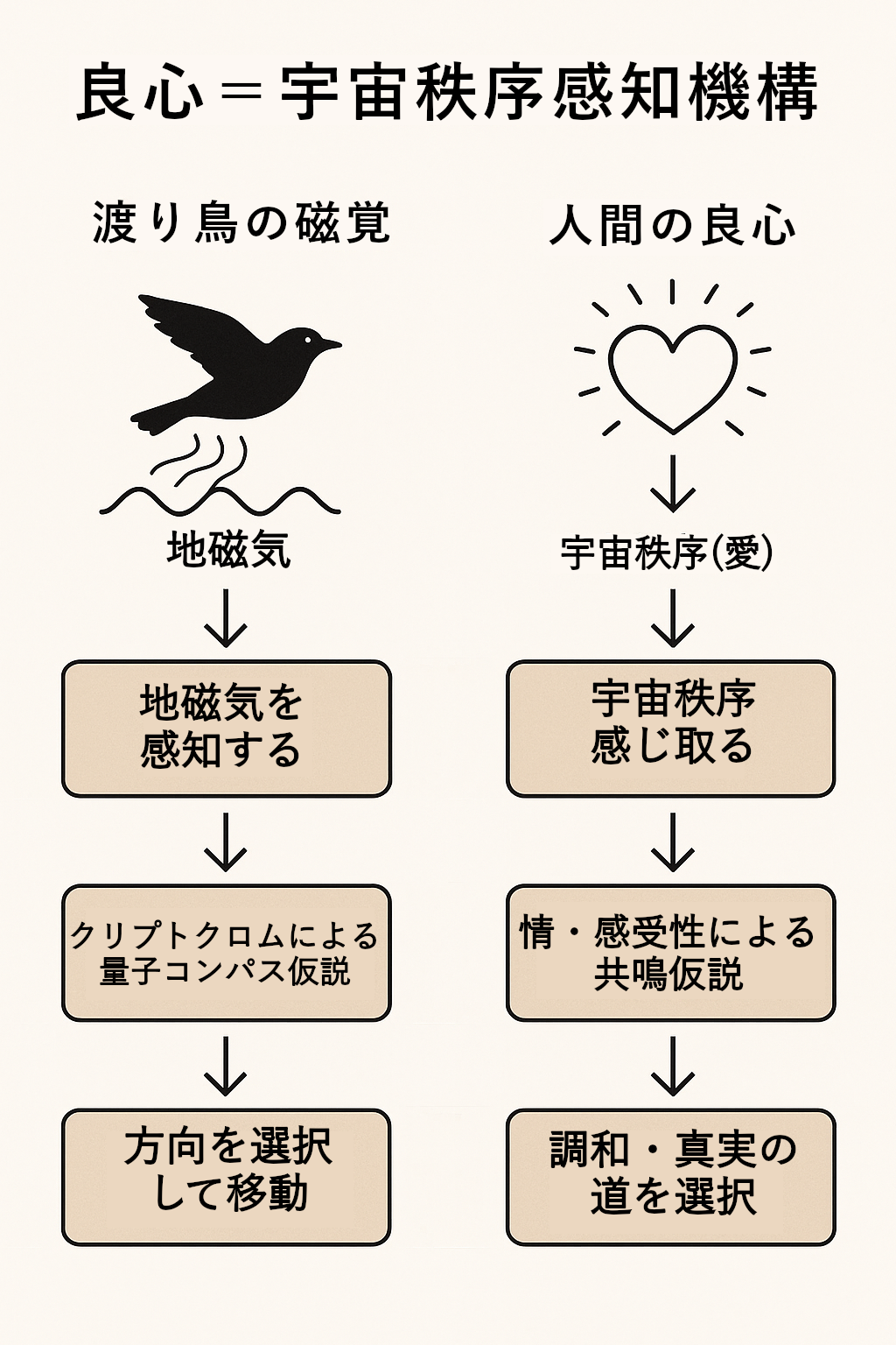 良心=宇宙秩序感知機構の図